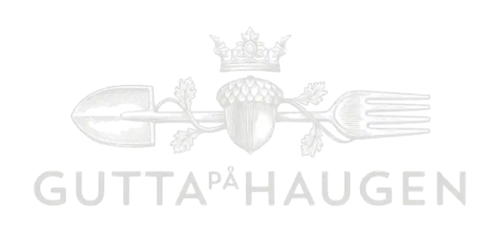 Gutta på Haugen